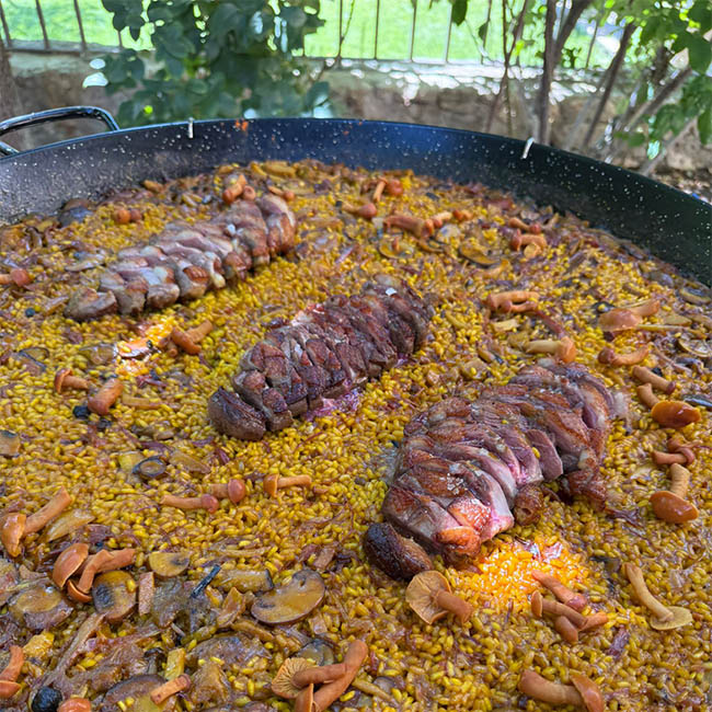 arroz de magret