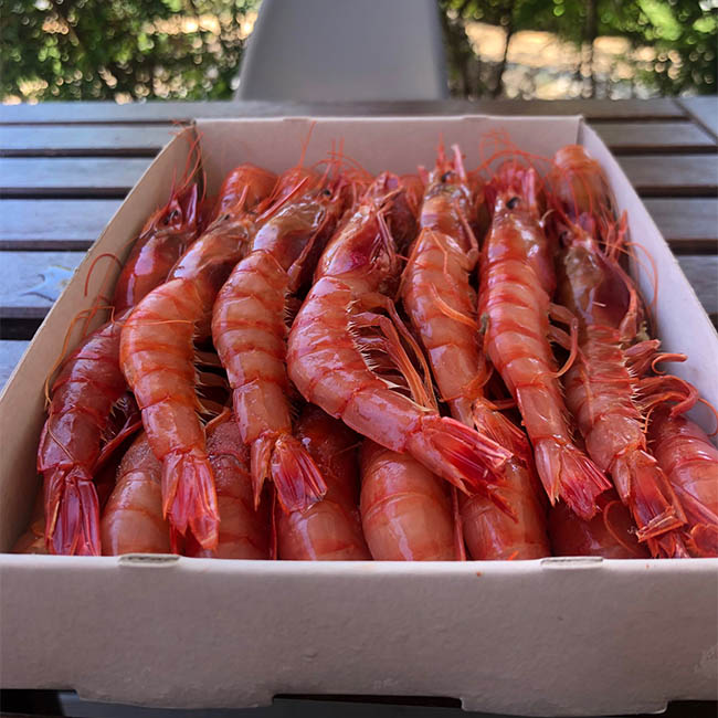 gambas