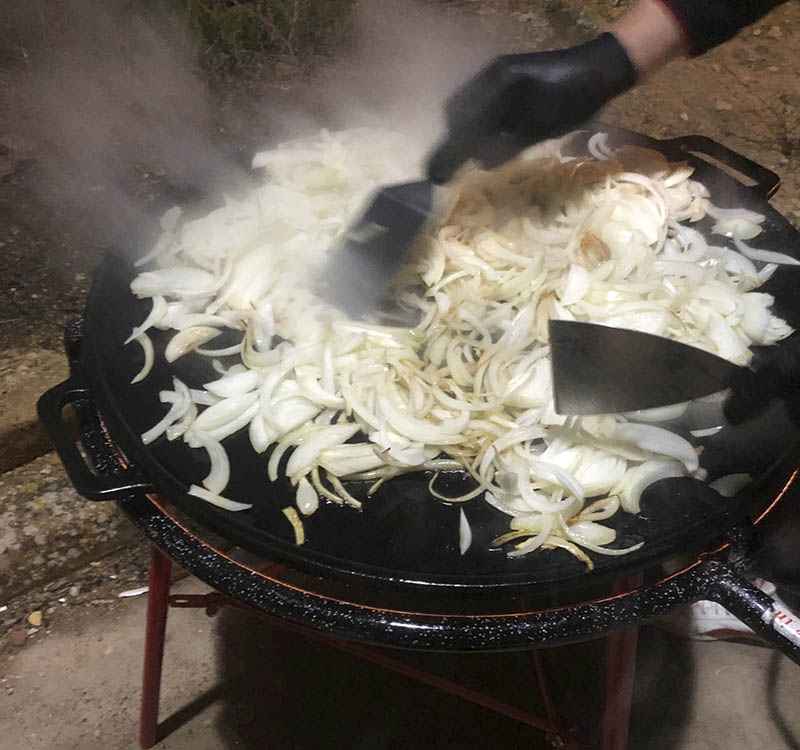 cebolla